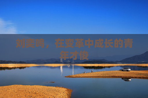 刘奕鸣,在变革中成长的青年才俊 刘奕鸣,在变革中成长的青年才俊