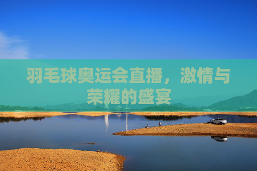 羽毛球奥运会直播，激情与荣耀的盛宴