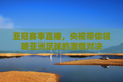 亚冠赛事直播，央视带你领略亚洲足球的激情对决
