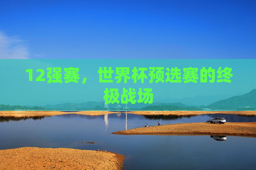 12强赛,世界杯预选赛的终极战场 12强赛,世界杯预选赛的终极战场