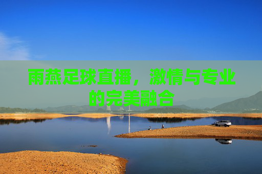雨燕足球直播,激情与专业的完美融合 雨燕足球直播,激情与专业的完美融合