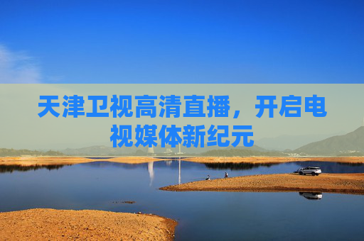 天津卫视高清直播，开启电视媒体新纪元