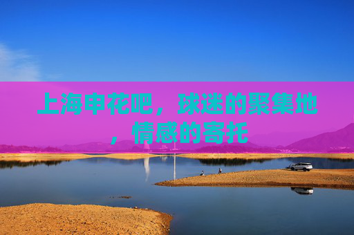 上海申花吧,球迷的聚集地,情感的寄托 上海申花吧,球迷的聚集地,情感的寄托