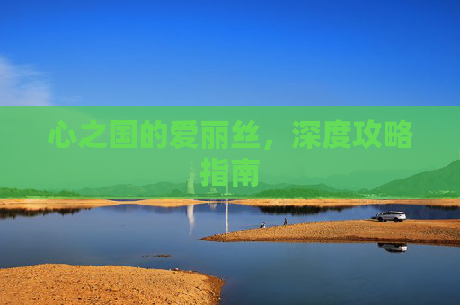 心之国的爱丽丝，深度攻略指南