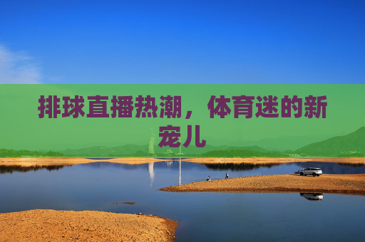 排球直播热潮，体育迷的新宠儿