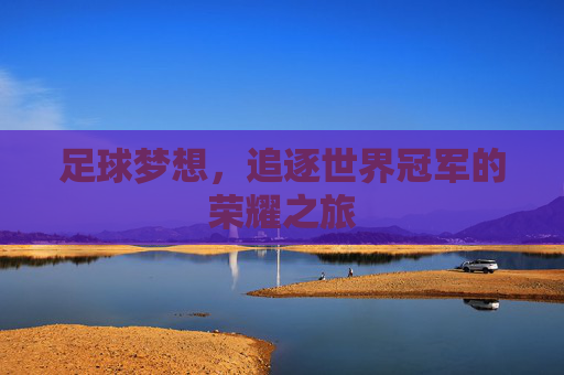 足球梦想，追逐世界冠军的荣耀之旅