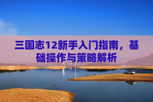 三国志12新手入门指南，基础操作与策略解析
