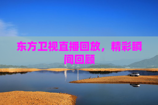 东方卫视直播回放，精彩瞬间回顾