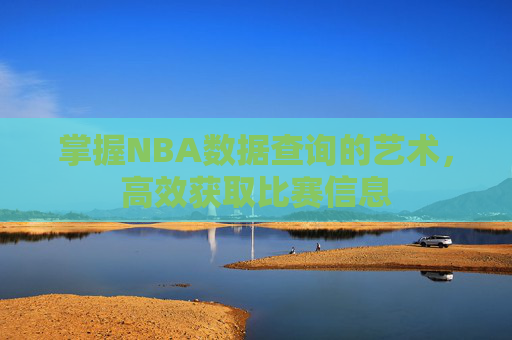 掌握NBA数据查询的艺术，高效获取比赛信息