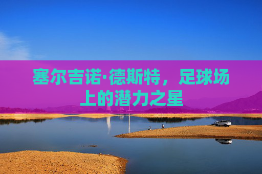 塞尔吉诺·德斯特，足球场上的潜力之星