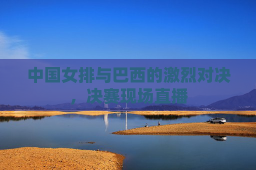 中国女排与巴西的激烈对决，决赛现场直播