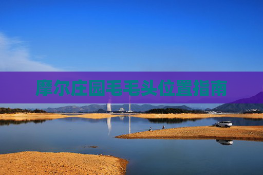 摩尔庄园毛毛头位置指南