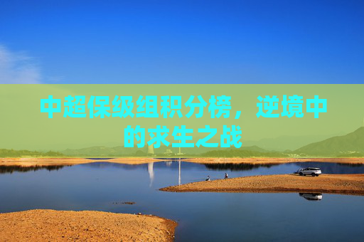 中超保级组积分榜，逆境中的求生之战