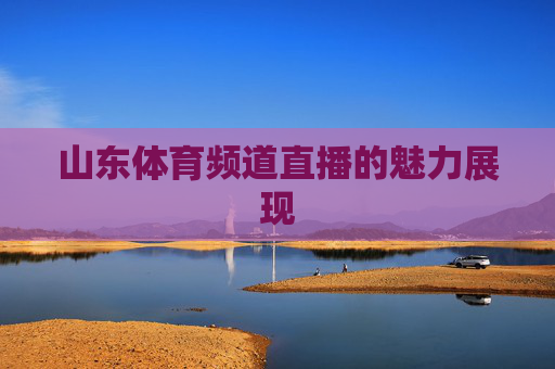 山东体育频道直播的魅力展现