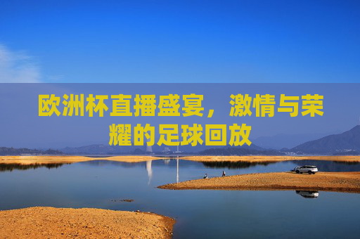 欧洲杯直播盛宴，激情与荣耀的足球回放
