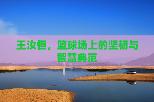 王汝恒，篮球场上的坚韧与智慧典范