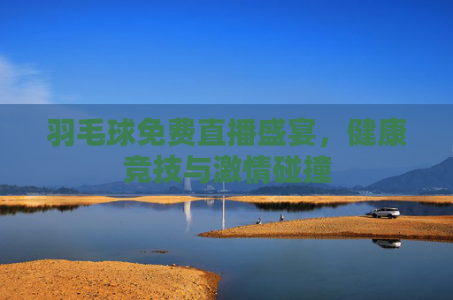 羽毛球免费直播盛宴,健康竞技与激情碰撞 羽毛球免费直播盛宴,健康竞技与激情碰撞