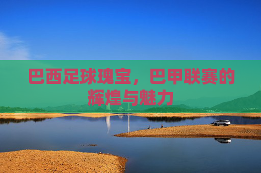 巴西足球瑰宝，巴甲联赛的辉煌与魅力