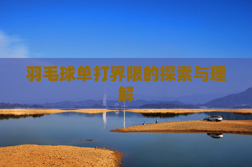 羽毛球单打界限的探索与理解