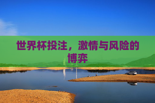 世界杯投注，激情与风险的博弈
