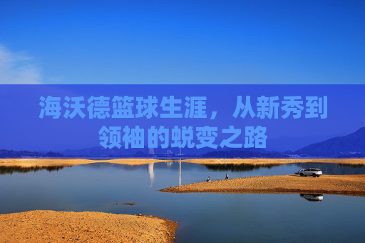 海沃德篮球生涯，从新秀到领袖的蜕变之路