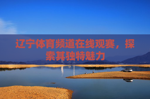 辽宁体育频道在线观赛，探索其独特魅力