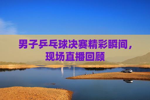 男子乒乓球决赛精彩瞬间，现场直播回顾