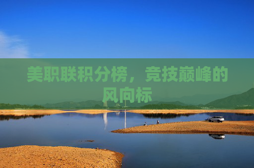 美职联积分榜，竞技巅峰的风向标