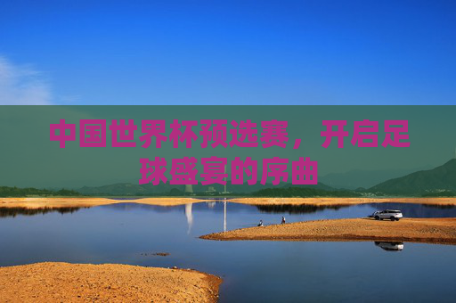 中国世界杯预选赛，开启足球盛宴的序曲