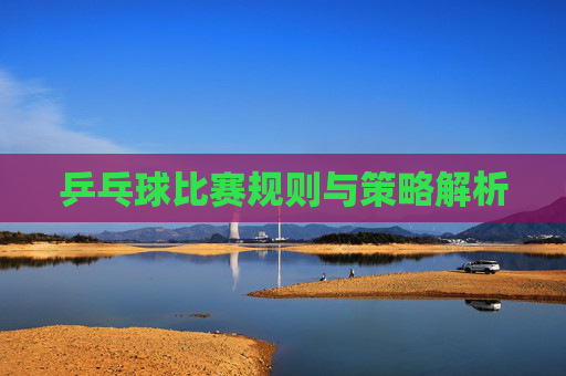 乒乓球比赛规则与策略解析