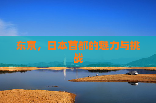 东京,日本首都的魅力与挑战 东京,日本首都的魅力与挑战