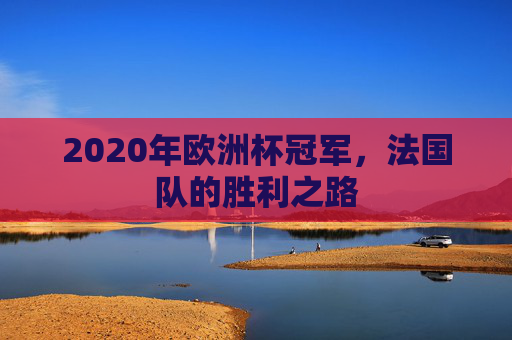 2020年欧洲杯冠军，法国队的胜利之路